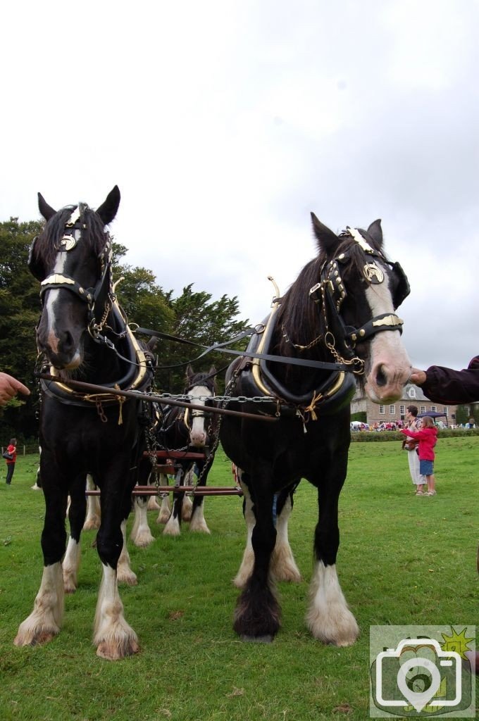 Trereife  summer  fayre.