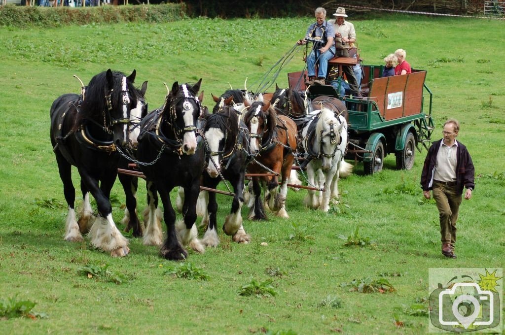 Trereife  summer  fayre.