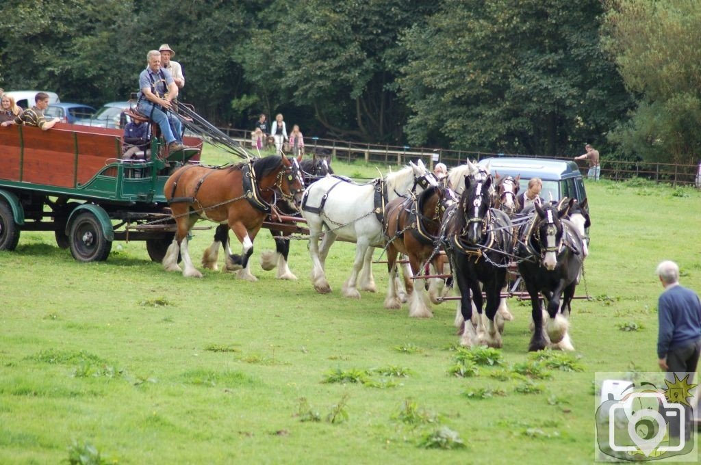 Trereife  summer  fayre.