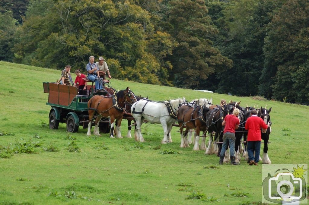 Trereife  summer  fayre.