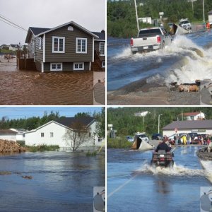 Where I live. Newfoundland.