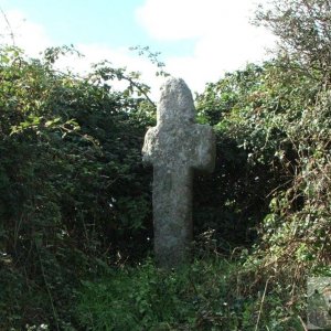 Tremethick Cross