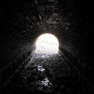 Tunnel vision (3)