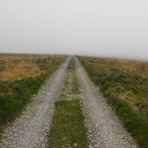 Misty track