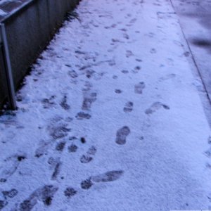 Footprints