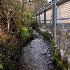 Larrigan stream