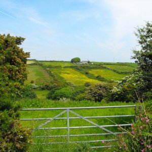 Across the valley