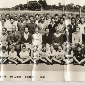 Tolcarne County Primary 1956