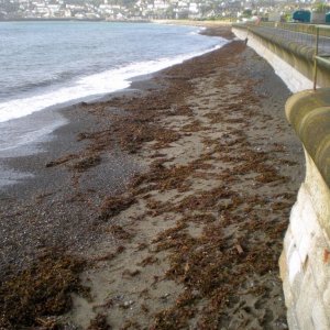 Around  the  prom  Penzance.