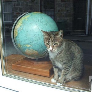 Around the world in nine lives.