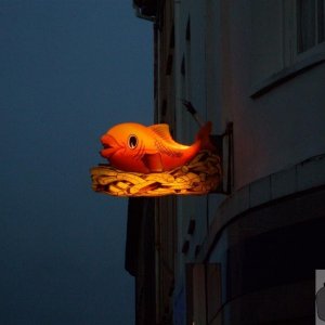 Goldfish and chips: Anyone fancy it?