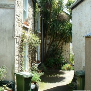 Among the back streets of Newlyn