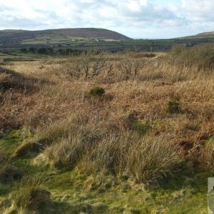 Land around Giew Mine, near Cripplesease - 10th Feb., 2010