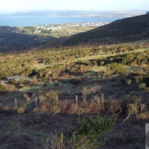 Rosewall Hill, St Ives - 10Feb2010