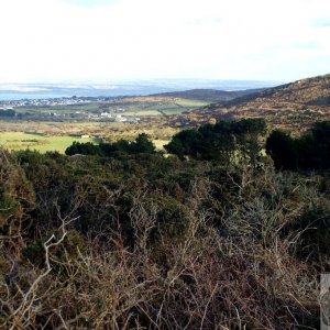 Little Trevalgan Hill - 10Feb10 - view to St Ives