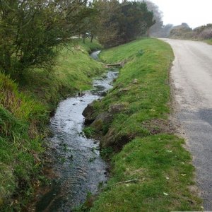 Stream from Trungle Moor, Paul Village - 17Mar10
