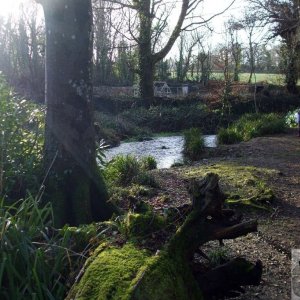 17th Jan., 2010: Castle Horneck: the river