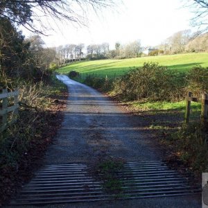 Sunday outing, 17th Jan, 2010: View to Rosehill