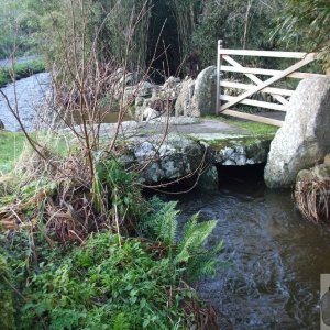 Sunday outing, 17th Jan, 2010: The River, Penberth Valley