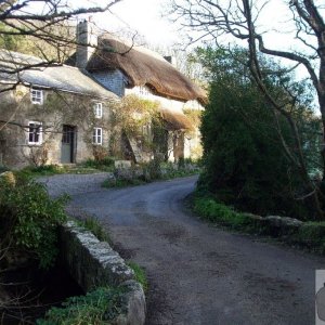 Sunday outing, 17th Jan, 2010:Penberth