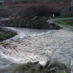 Sunday outing, 17th Jan, 2010: The Ford at Penberth Cove