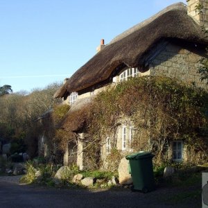 Sunday outing, 17th Jan, 2010: Penberth Cove