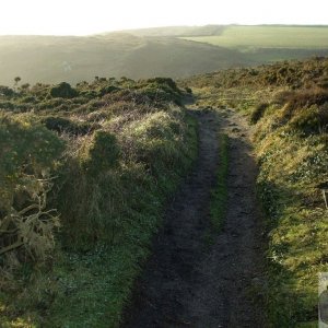 Path west from Cribba Hd, Penberth - 17th Jan. 2010