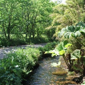 The river down to Penberth Cove