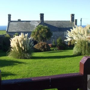 Pendeen Manor Farm - 24Oct10