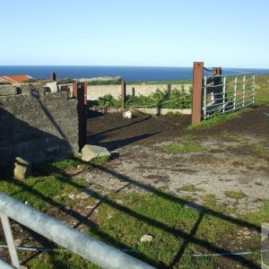 Pendeen Manor Farm - 24Oct10