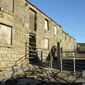 Pendeen Manor Farm - 24Oct10