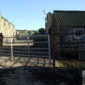 Pendeen Manor Farm - 24Oct10