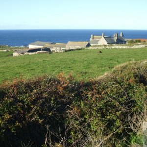 Pendeen Manor Farm - 24Oct10