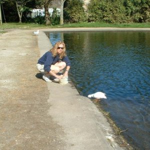 Little White Duck