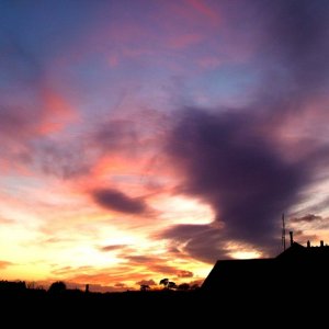 Towards the west - 23rd November, 2008