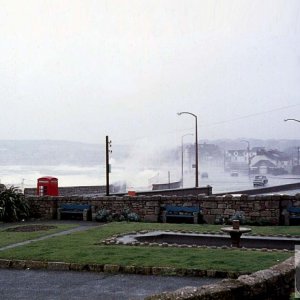 The Prom from St Anthony's Gardens