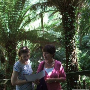 Tree Fern Dell - Trewidden Gardens - June '08