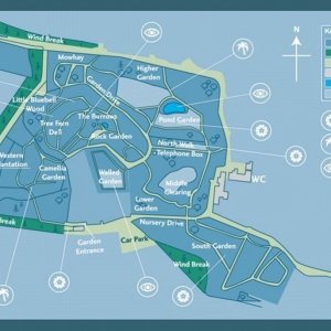 Plan of Trewidden Gardens - June '08