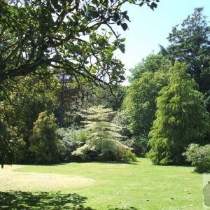 Higher Garden - Trewidden Gardens - June '08