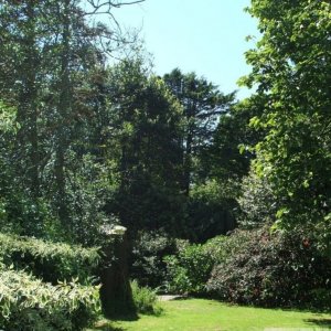 Higher Garden - Trewidden Gardens - June '08