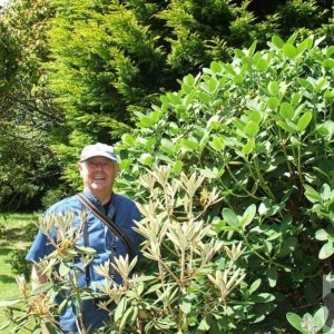 The Green Man - Trewidden Gardens - June '08