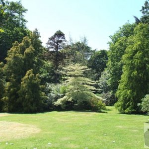 Higher Garden - Trewidden Gardens - June '08