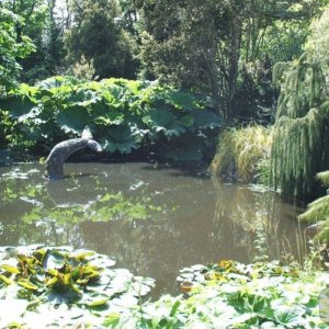 The Lake - Trewidden Gardens - June '08