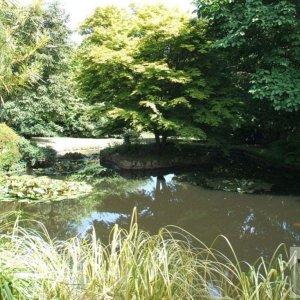 The Lake - Trewidden Gardens - June '08