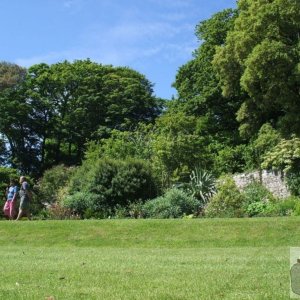 The Higher Garden - Trewidden Gardens - June '08