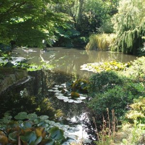 The Lake - Trewidden Gardens - June '08