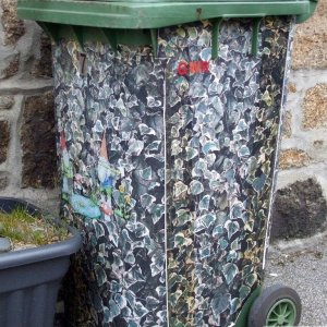 Dustbin art!