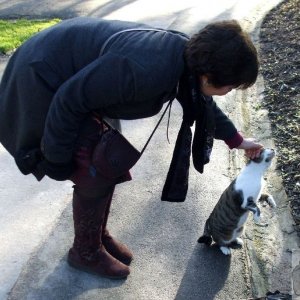 A friendly cat, Morrab Gdns - 22/01/10