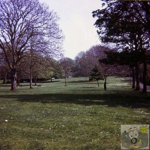 View up through Penlee Park, March 1977