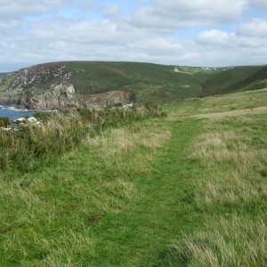 Path across clifftop to Portheras (17th Aug., 2009)